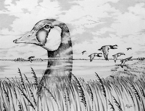 Canada's Pride- Canadian Geese (Black and White) ORIGINAL
