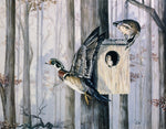 Flying Lessons- Wood Ducks ORIGINAL