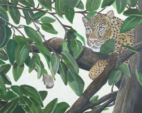 African Leopard PRINTS