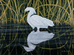Reflections- Snowy Egret ORIGINAL