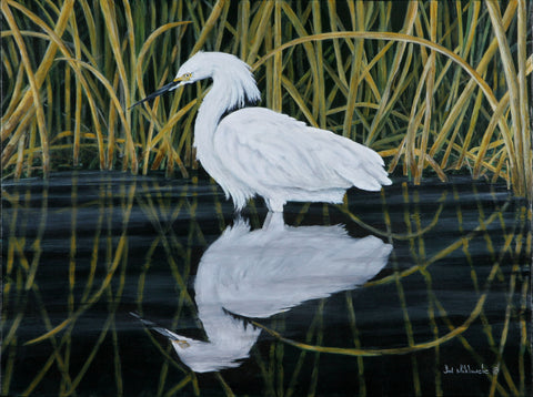 Reflections- Snowy Egret PRINTS