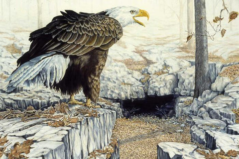 Ancient Hunting Grounds- Bald Eagle ORIGINAL