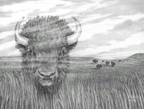 Legend of the Plains- Bison (Black and White) ORIGINAL
