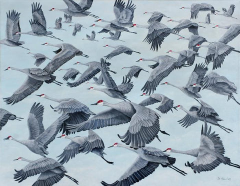 Migration- Sandhill Cranes ORIGINAL