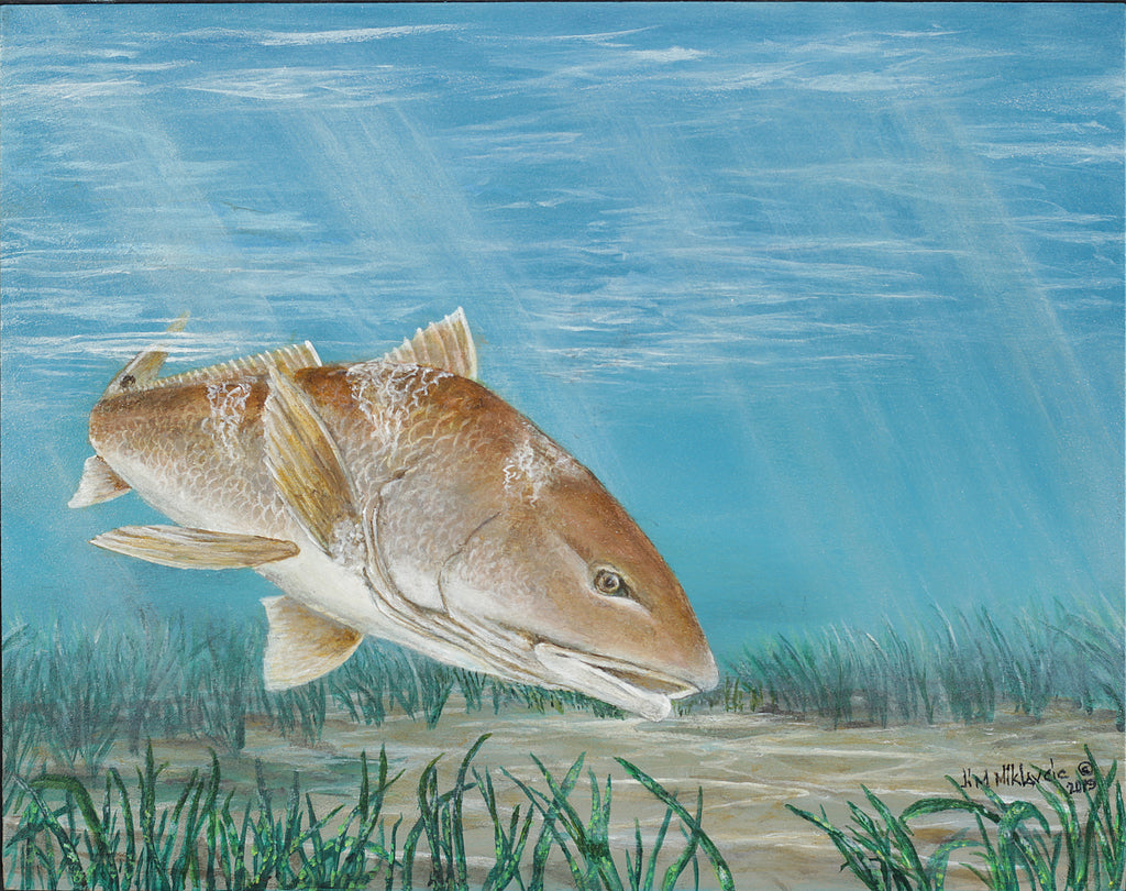 Red Fish Modelling Redfish Art